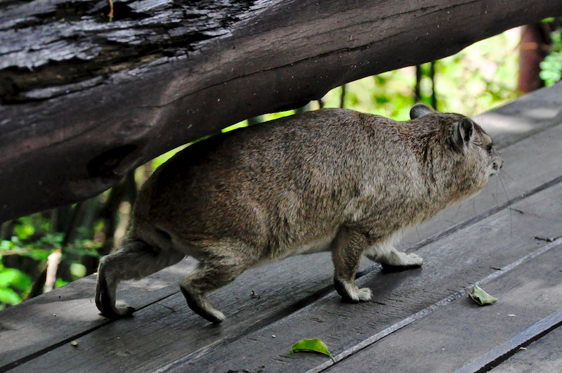 Melanie Heinrich Travel Images Africa